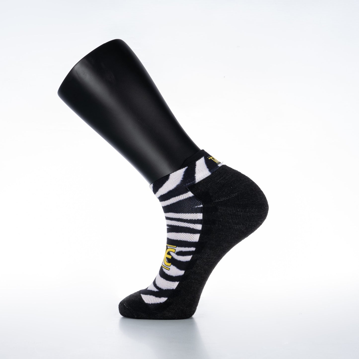 Zebra - AA