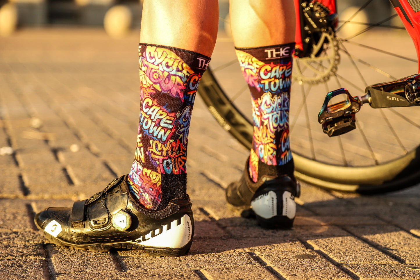 Kapstadt-Radtour-Vielfalt